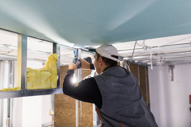 Best Insulation Installation Cost  in Centralia, MO