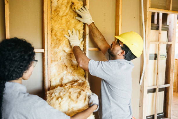 Best Spray Foam Insulation  in Centralia, MO