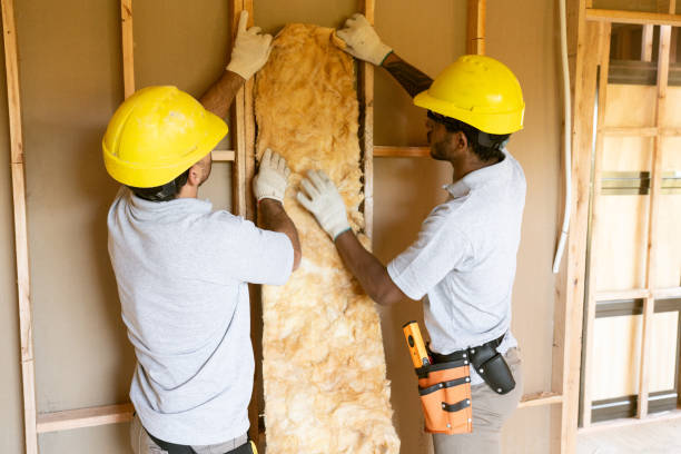 Best Attic Insulation Installation  in Centralia, MO