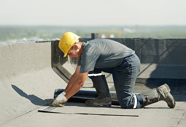 Best Wall Insulation Contractor  in Centralia, MO