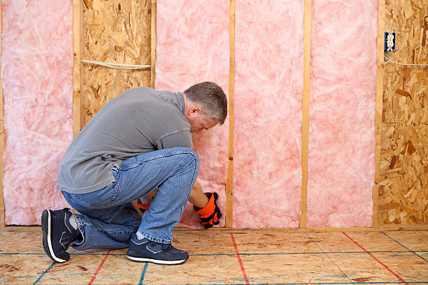 Best Insulation Removal  in Centralia, MO