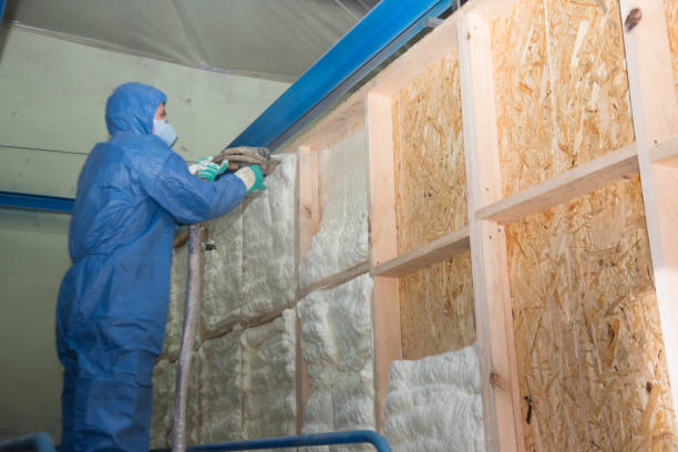 Best Cellulose Insulation  in Centralia, MO